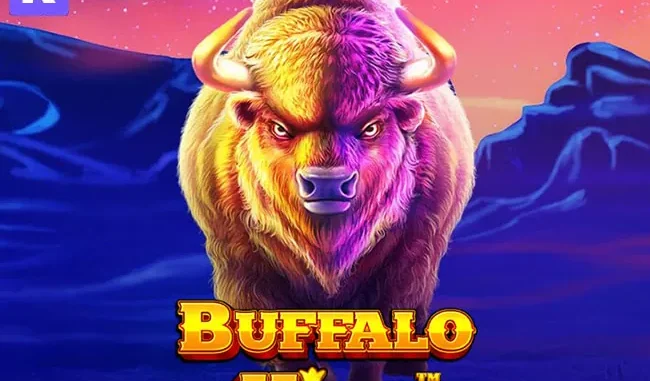Buffalo King Kralı Bu, Kazançsa Dibi